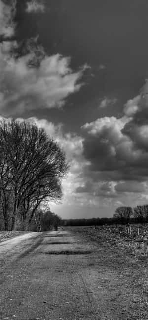 Black And White Iphone Pictures — iPhone 16 Wallpaper