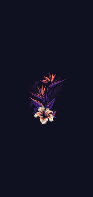 itim na likuran na may lilang bulaklak dito — Huawei Wallpaper