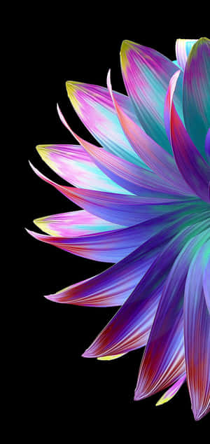 Samsung background — Galaxy A55 Wallpaper