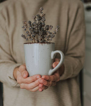 Mug with dried lavender flowers held by hands wallpaper — Tecno Phantom V Fold2 Wallpaper
