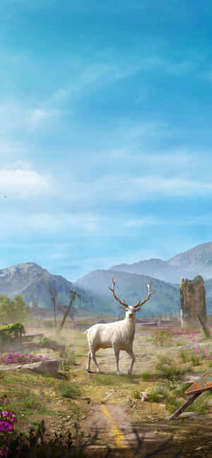 Iphone Xs Max Far Cry 5 Background — OnePlus Wallpaper