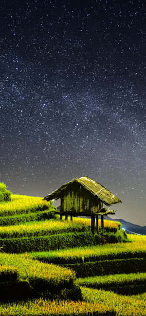Farming — Galaxy Note Wallpaper