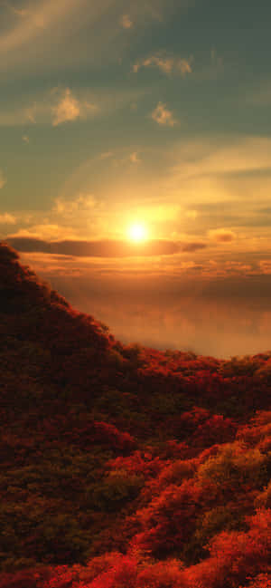 Pulang Puno — Pixel 8a Wallpaper