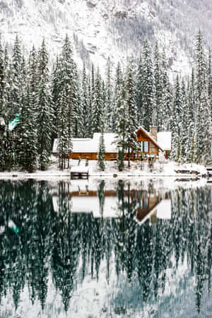 Snow pictures — Huawei MatePad Edge Wallpaper
