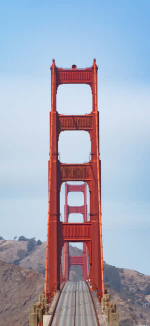 Vertical pictures — iPhone 14 Pro Max Wallpaper