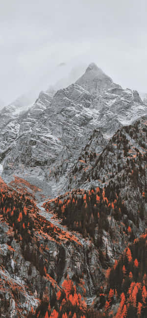 1170x2532 — iPhone 14 Pro Wallpaper