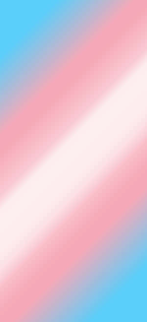Trans Phone — iPhone 16e Wallpaper