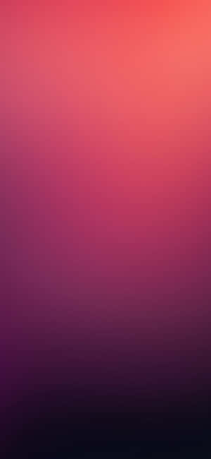 Madilim na Rosa — Xiaomi 14 Ultra Wallpaper