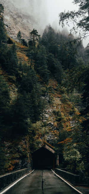 1170x2532 — iPhone 17 Pro Max Wallpaper