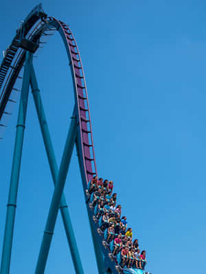 Mga Larawan ng Seaworld — iPad 9th Generation Wallpaper