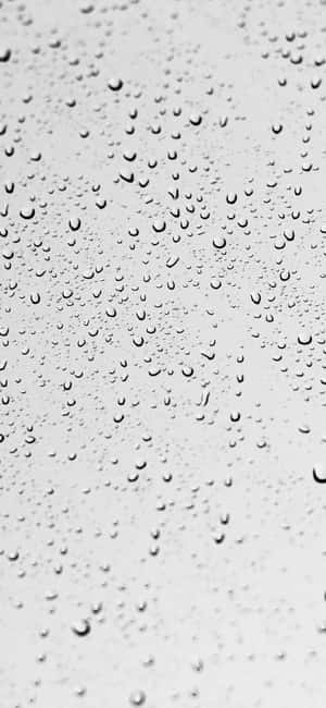 1290x2796 — Pixel 11 Pro Wallpaper