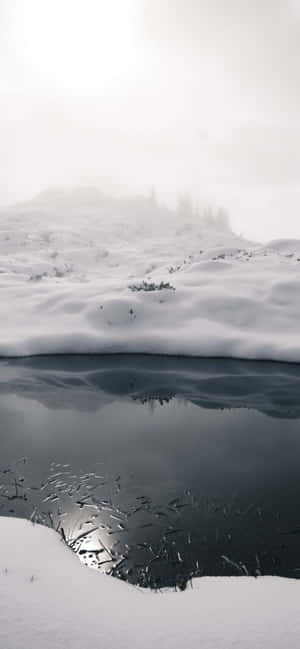 1170x2532 — iPhone 17 Wallpaper