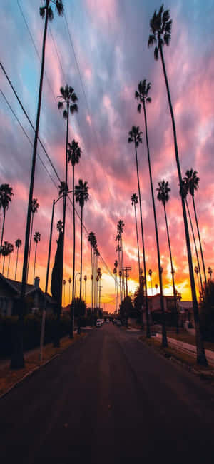 Iphone X California Background — OnePlus Wallpaper