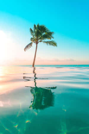 Tropical pictures — Lenovo Legion Y900 13 Wallpaper