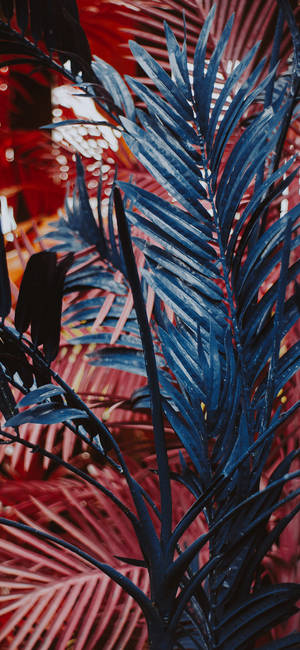 Plants Iphone — Floral iPhone Wallpaper