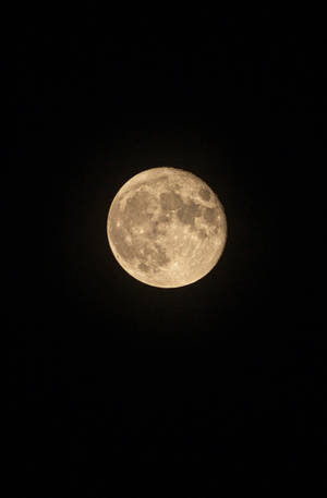Buwan na sumisikat sa gabi na nagpapakita ng mga bunganga nito sa itim na hatinggabing langit. Kabilugtong buwan. — Moon Wallpaper