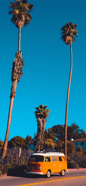 Iphone X California Background — iPhone 18 Wallpaper