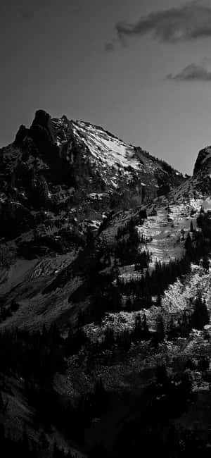 Black And White Iphone Pictures — Vivo S Wallpaper