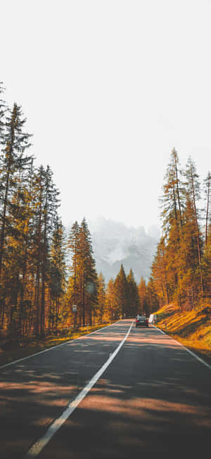 Outside Background — iPhone 13 Mini Wallpaper
