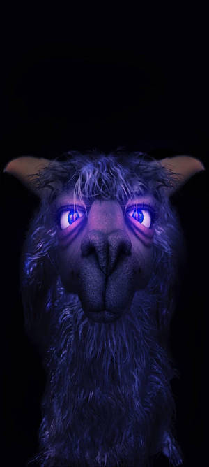 Aesthetic boy violet llama wallpaper — Pixel 9 Wallpaper