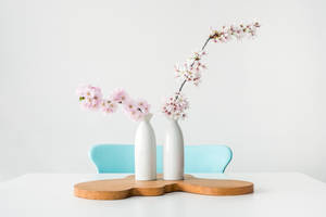 Aesthetic Minimalistang Pastel Goth Table