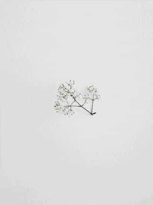 Aesthetic Minimalist pictures — Minimalist aesthetic Wallpaper