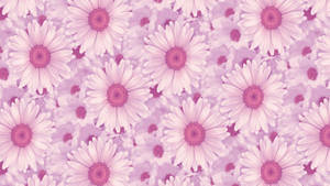 Aesthetic na Daisies na wallpaper para sa Laptop