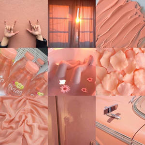 Aesthetic na Girly Peach Collage — Aesthetic na babae GIF Wallpaper