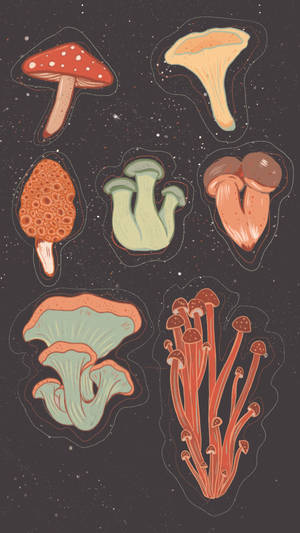 Aesthetic na Kabute na Cartoon — Mushroom Aesthetic Wallpaper