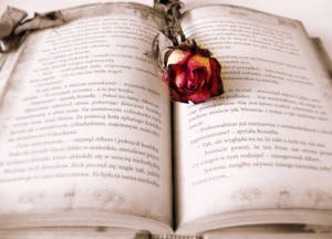 Aesthetic na Pulang Rosas sa Bukas na Libro