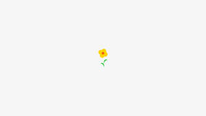 Aesthetic na Puting Sunflower — Aesthetic na puti Wallpaper