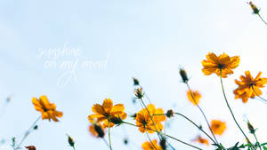 Aesthetic ng Tag-init na Sikat ng Araw na Bulaklak na Quote na wallpaper
