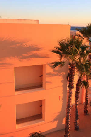 Mga larawang Aesthetic na orange — Orange aesthetic GIF Wallpaper