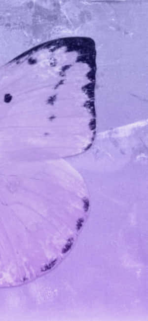 Aesthetic Purple Pictures — iPhone 15 Pro Max Wallpaper