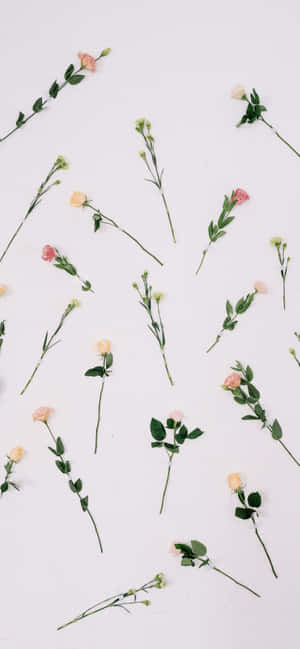 Aesthetic Valentine's Day Lovely Roses — Galaxy S26 Wallpaper
