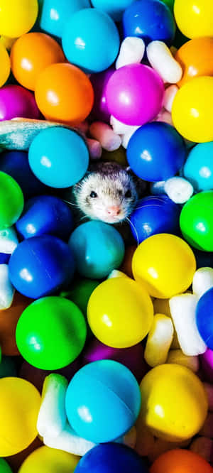 Ferret background — iPhone Air Wallpaper