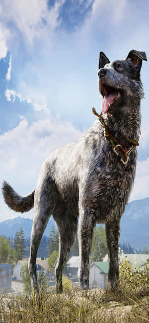 Iphone Xs Far Cry 5 Background — iPhone 17 Pro Max Wallpaper