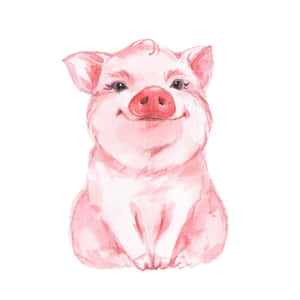 Mga larawan ng cute na baboy — iPad Air 13 Wallpaper