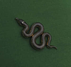 Mga larawan ng Estetikang Slytherin — Slytherin estetiko Wallpaper