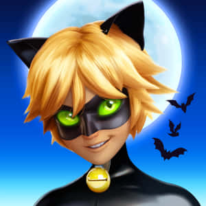Mga larawan ni Cat Noir