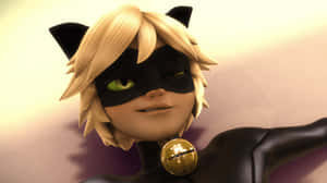 Mga larawan ni Cat Noir