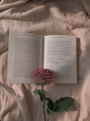 Mga larawang Book Aesthetic — 2048x2732 Wallpaper