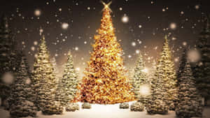 Background ng Christmas Tree — Christmas Tree Wallpaper