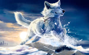 Mga larawan ng astig na lobo — Astig na lobo Wallpaper