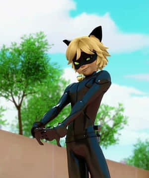 Mga larawan ni Cat Noir