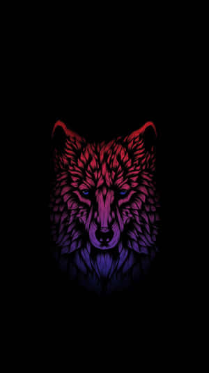 Super Cool na Lobo — Astig na lobo Wallpaper