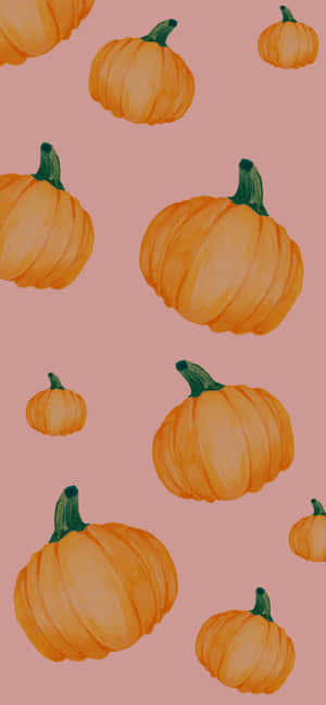 Pink na Kalabasa — iPhone 16 Pro Wallpaper