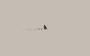 Background na Aesthetic Minimalist — Aesthetic minimalist GIF Wallpaper
