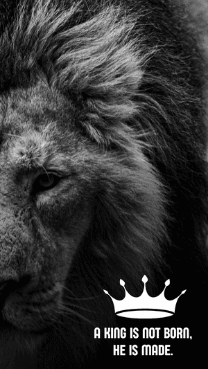 Leon, Background ng Leon, Background 420, Hari, Background ng Hari, Background ng Quote, Background 2018, Background ng Matapang, Mga Larawan ng Matapang