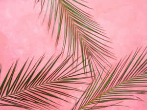 Background na Pastel Pink — Pastel pink Wallpaper
